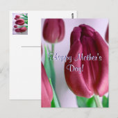 Rosey Tulips zum Muttertag Postkarte (Vorne/Hinten)