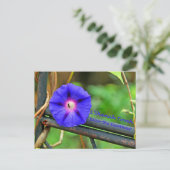 Rosh Hashanah Cards Geschenke Feiertagspostkarte (Stehend Vorderseite)