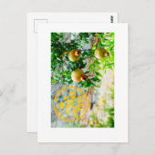 Rosh Hashanah, G’Mar Chatima Tova, Jom Kippur 5785 Postkarte (Vorne/Hinten)