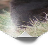 Rosie 1 fotodruck (Ecke)