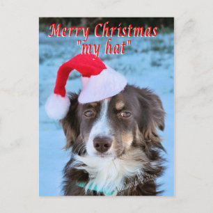 Rosie-CH7-Z - fertigen Sie besonders an Feiertagspostkarte