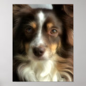 Rosie-Closeup Poster (Vorne)