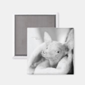 Rosie Foto Magnet (Vorderseite/Rückseite)