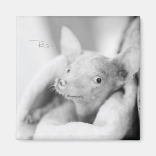 Rosie Foto Magnet (Vorne)