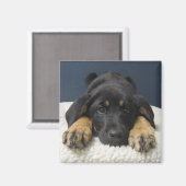 Rosie Magnet (Vorderseite/Rückseite)