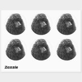 Rosie, Standard Poodle Runder Aufkleber (Blatt)