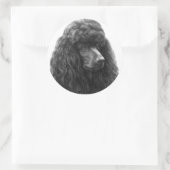 Rosie, Standard Poodle Runder Aufkleber (Tasche)