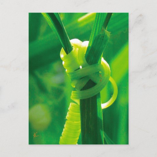 Rosie the Riveter Sweet Pea Vine Ermutigung Postkarte (Vorderseite)