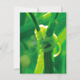 Rosie the Riveter Sweet Pea Vine Ermutigung Postkarte