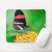 Rosinenschmetterling, der Nektar vom Mousepad (Mit Mouse)