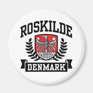 Roskilde Dänemark Magnet