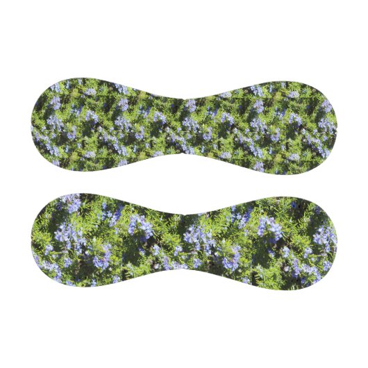 Rosmarin Blume grün Baseball (Paneele)