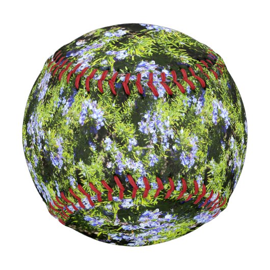 Rosmarin Blume grün Baseball (Vorderseite)