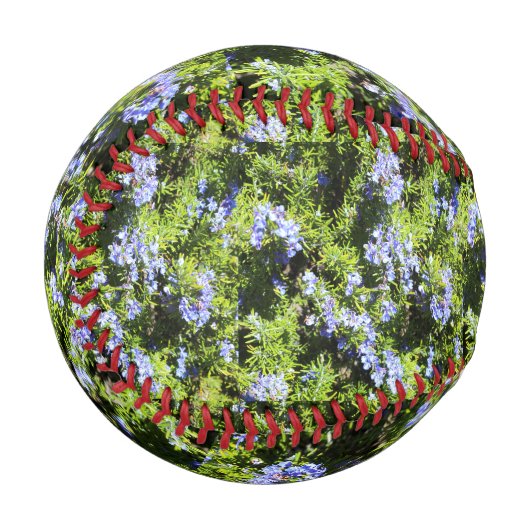 Rosmarin Blume grün Baseball (Vorderseite Links)