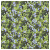 Rosmarin-Blume Stoff (Muster)