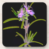 Rosmarin in Blüte Untersetzer (Vorderseite)
