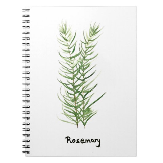 Rosmarin Kräutergarten Pflanze Aquarell Notizblock (Vorderseite)
