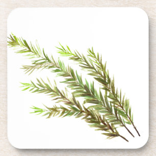 Rosmarin Kräuterkunst Aquarellmalerei Getränkeuntersetzer