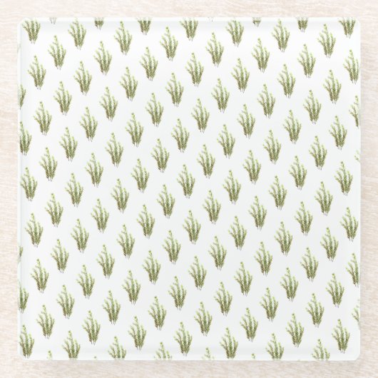 Rosmarin Kräuterkunst Grüne rustikale Chic Glasuntersetzer (Vorderseite)