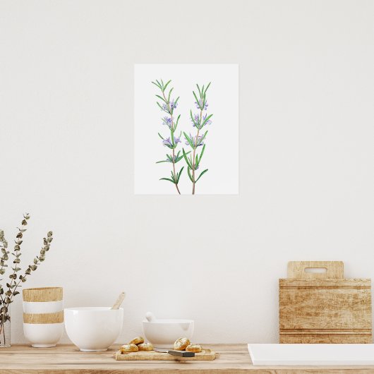 Rosmarin Poster (Küche)