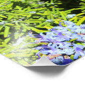 Rosmarinbusch Fotodruck (Ecke)