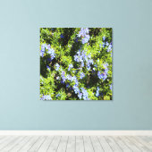 Rosmarinbusch Leinwanddruck (Insitu (Holzboden))