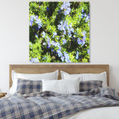 Rosmarinbusch Leinwanddruck (Insitu (Schlafzimmer))