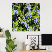 Rosmarinbusch Poster (Heimbüro)