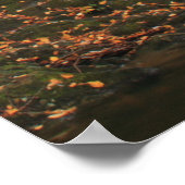 Ross Brook Falls Herbst Berkshires Wasserfall Poster (Ecke)