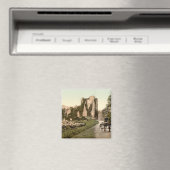 Ross Castle II, Killarney, Landkreis Kerry Magnet (In Situ (Geschirrspüler))