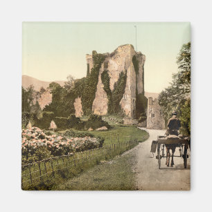 Ross Castle II, Killarney, Landkreis Kerry Magnet