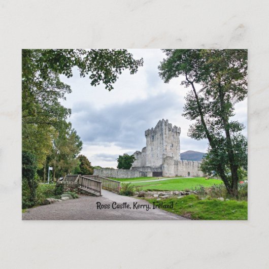Ross Castle, Kerry, Irland Postkarte (Vorderseite)