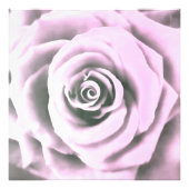Rosse rb fotodruck (Vorne)
