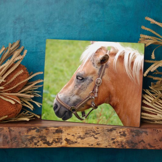 Rosshead 003 fotoplatte (Seite)