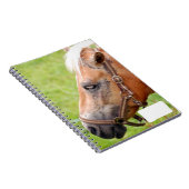 Rosshead 003 notizblock (Rechte Seite)