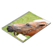 Rosshead 003 notizblock (Linke Seite)