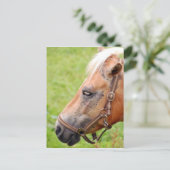 Rosshead 003 postkarte (Stehend Vorderseite)