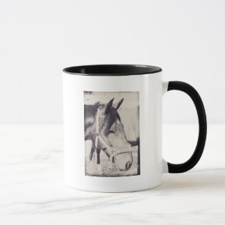 Rosshead 009 tasse