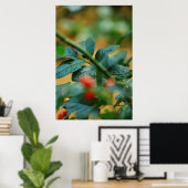 Rosship nach Regen 5 Poster (Heimbüro)
