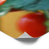 Rosship nach Regen 5 Poster (Ecke)