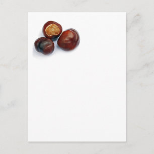 Rosskastanie Postkarte