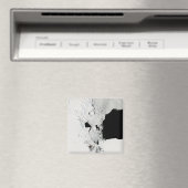 Rosssee, Antarktis Magnet (In Situ (Geschirrspüler))