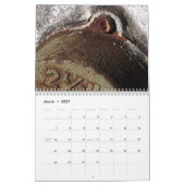 Rost u. rostiges kalender (Mär 2027)