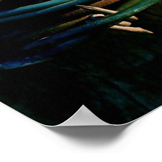 Rost- und Blankdraht Poster (Ecke)