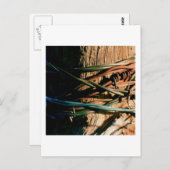 Rost- und Blankdraht Postkarte (Vorne/Hinten)