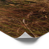 rostender orangefarbener LKW mit verlassenem Dodge Poster (Ecke)