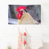 Roster mit Cockscomb Banner (Insitu)