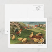 Roster und Chicks Postkarte (Vorne/Hinten)