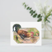 Roster und Chicks Postkarte (Stehend Vorderseite)