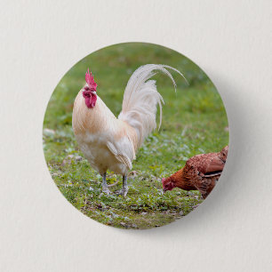 Roster und Hühner Button